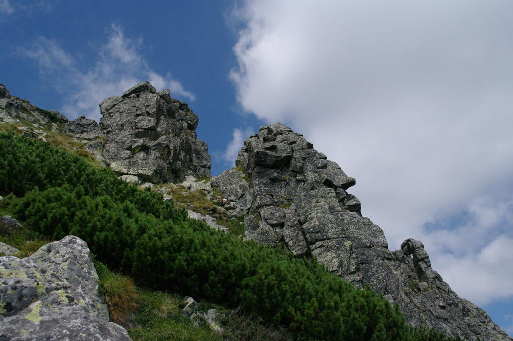 马雷克一室公寓酒店 Vysoké Tatry 外观 照片